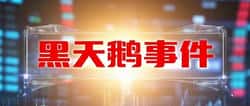 加密货币市场黑天鹅事件回顾：你经历过多少？