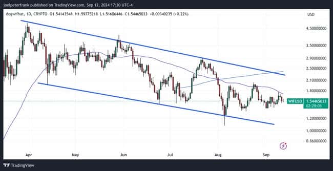 Dogwifhat (WIF)  面临下跌压力？新 meme Coin 崛起？WIF 价格的预期