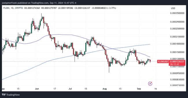 FLOKI 币价格下跌，西蒙猫空投无力改变局面