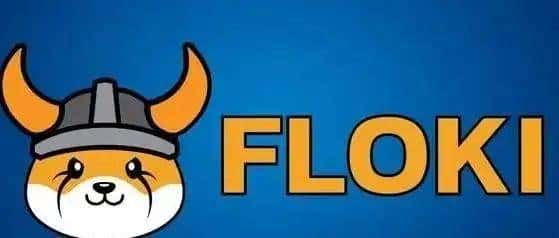什么是FLOKI代币？揭秘FLOKI从Meme到加密市场黑马的崛起之路