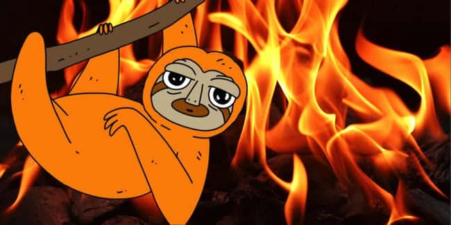 SLERF 币被烧毁：一场精心策划的迷因币骗局？