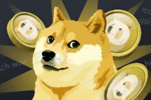 网红犬到加密传奇：柴犬Kabosu引领MEME文化风潮