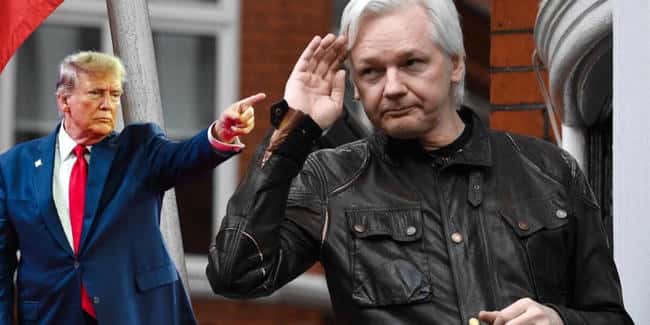 特朗普誓言当选后特赦维基解密阿桑奇,JUSTICE股价暴涨414%