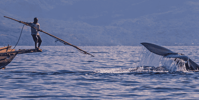 慢雾揭秘：花小钱钓大鱼，1155 WBTC 钓鱼事件始末