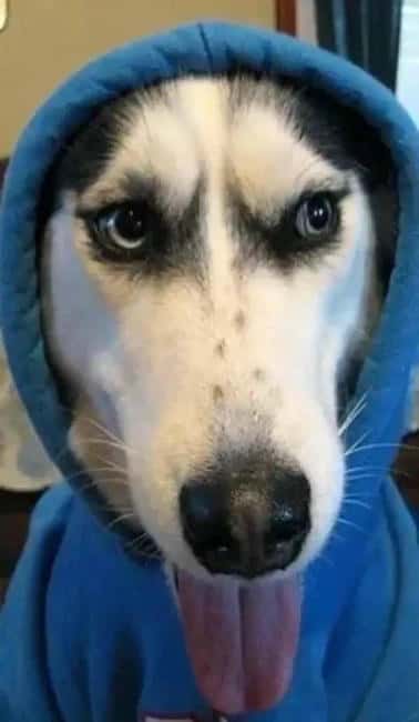 Telegram 创始人传奇经历：解读 TON 的价值 