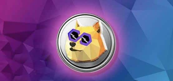 POLYDOGE币怎么样？ POLYDOGE币价格最新行情