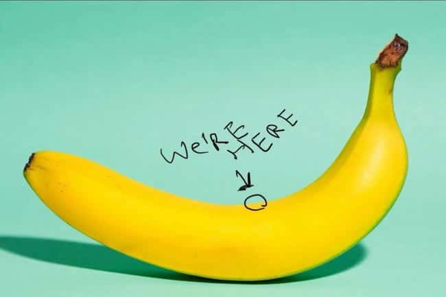 BTC暴涨倒计时？6个经济指标揭示市场进入“香蕉区”