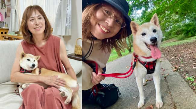 柴犬「Neiro」爆红，同名迷因币狂涨1250倍