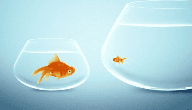 牛市如何赚钱：15条收益最大化规则 