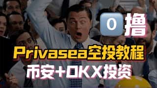 Privasea零撸空投：币安、OKX联手投资项目，尚未发币！节点+NFT购买教程