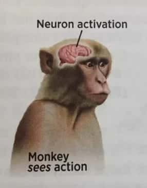 杠杆撬动财富指数级增长 