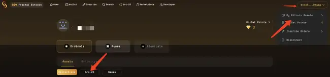 盘点11个近期值得关注的BTC生态项目（附详细操作指南）