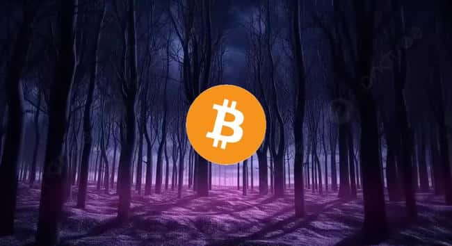 Polygon高管爆料:90%公链向生态项目索要空投,EigenLayer并非孤例