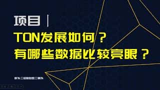 TON的发展现状如何？数据表现如何？