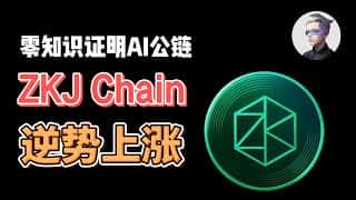 Polyhedra ZKJ 逆势上扬，即将上线 AI 公链 zkj chain，阿晨分享深度投研追踪。