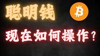 币圈风云：Cat People Floki Dogs BNB，哪个才是你的最佳选择？聪明资金都在布局，50%涨幅触手可及！