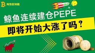 佩佩币（PEPE）行情分析：机构持续增持，抄底时机已到？