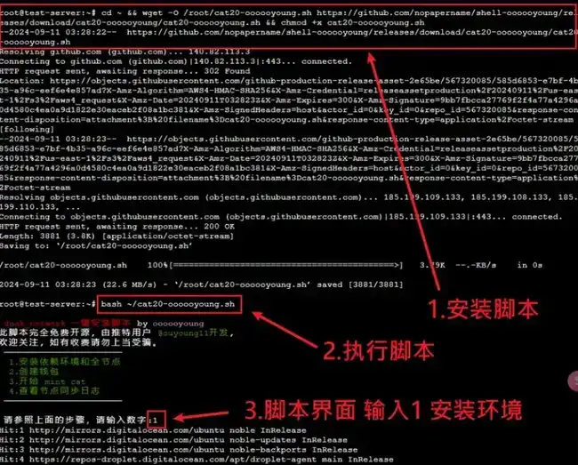 在Linux Mint上快速部署和使用Fractal 分型网络的Cat20协议