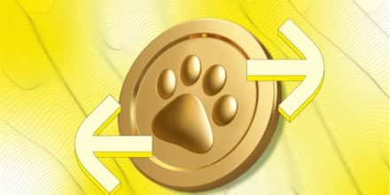 Catizen (CATI) 上市与空投信息:全面交易所时间表及项目精彩亮点解析