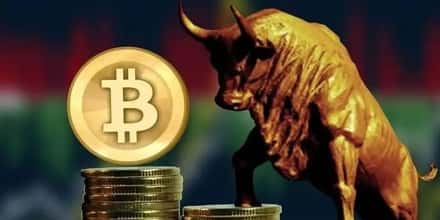 揭秘：牛市前夕，千倍潜力低价币TOP1000精选！