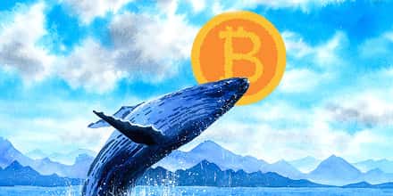 远古巨鲸相继觉醒，预示加密市场牛市尾声？
