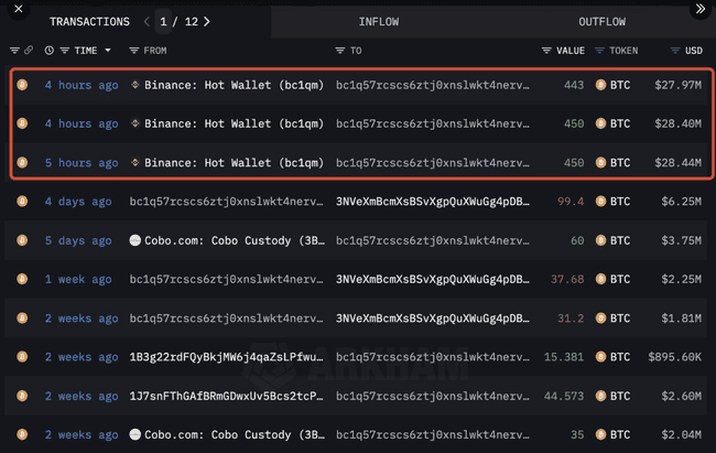 巨鲸投资TERMINUS，135美元暴增至120万美元，斩获9000倍惊人回报！