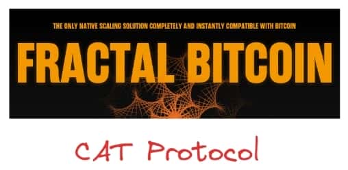 Fractal Bitcoin上火爆的CAT协议揭秘：五分钟代币铸造全攻略