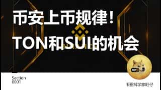 币安上币的秘密：TON 和 SUI 的机遇