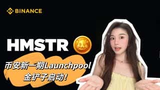 听说你最近在玩 Hamster Kombat？战绩如何？快来 Binance 上线，BNB 金铲子等你来挖！TON 生态真是太棒了！