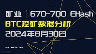 截至2024年8月底，比特币挖矿算力持续上升，目前已处于670E到700E区间，日内波动幅度较大。