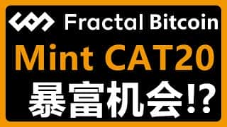 想铸造CAT20代币？使用DotSwap轻松铸造你的Fractal Bitcoin CAT代币！Fractal Bitcoin CAT20 #397