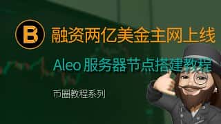 Aleo 服务器节点部署指南，助力主网上线，共襄2亿美元B轮融资盛举。