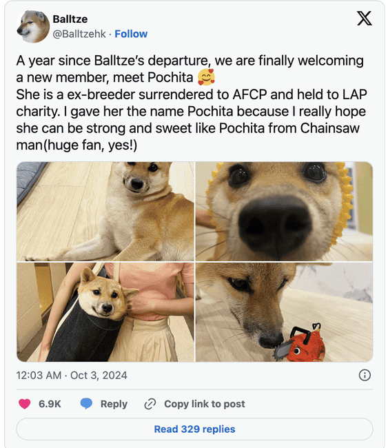 Meme Coin 交易奇迹:交易员24小时内将140美元暴增至45万美元!