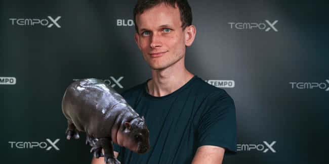 V神大手笔捐赠:抛售百亿迷因币Moodeng,全额赠予慈善,致敬弹跳猪的爱与善举