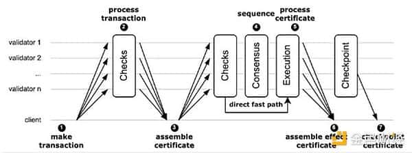 解析DWF释放：Move系公链Sui、Aptos与Movement的差异对比
