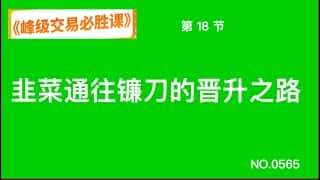 从韭菜到收割者：通往交易巅峰之路 第十八课