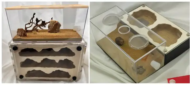 Coinbase CEO新娘Angela Meng：从移民女孩到加密巨头的妻子