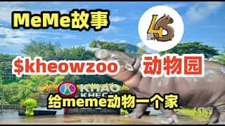 从默默无闻到风靡一时:揭秘Meme币的疯狂之旅