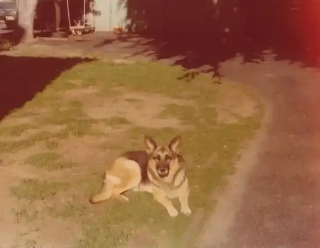 Coinbase CEO新娘Angela Meng：从移民女孩到加密巨头的妻子