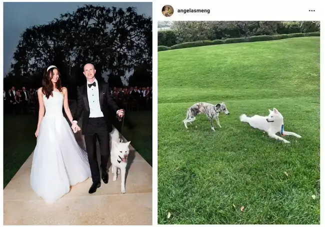 Coinbase CEO新娘Angela Meng：从移民女孩到加密巨头的妻子