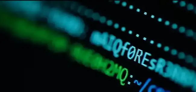 百万美元比特币尘封11年终见天日：43枚遗失币重归主人怀抱！