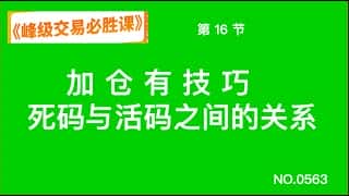 交易高手必修课：加码技巧揭秘 - 死码与活码的奥秘