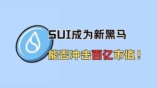 SUI 崛起:百亿市值触手可及? 继续持有值得吗?