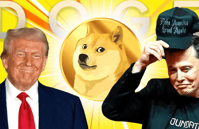 DOGE：穿越周期的Meme之王养成记