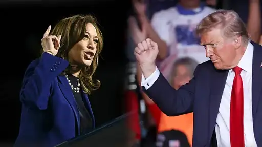 2024美国大选：选举结果揭晓时间及潜在特殊情况