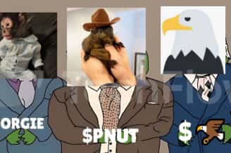 PNUT引领动物拯救风潮，Jorgie与老鹰成小市值Meme新星