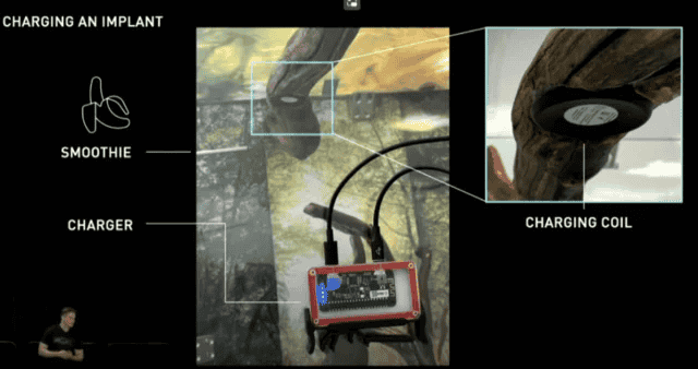 Banana：能否接力Banana：能否接力Banana：能否接力Pnut，成为新晋之星？