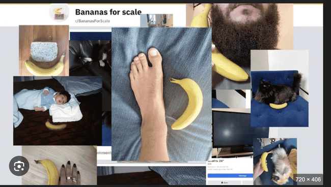 Banana：能否接力Banana：能否接力Banana：能否接力Pnut，成为新晋之星？