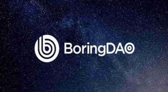 BORING币的官方是否在运营？未来发展趋势分析