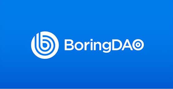 BORING币是什么?全面解析BORING币的未来前景